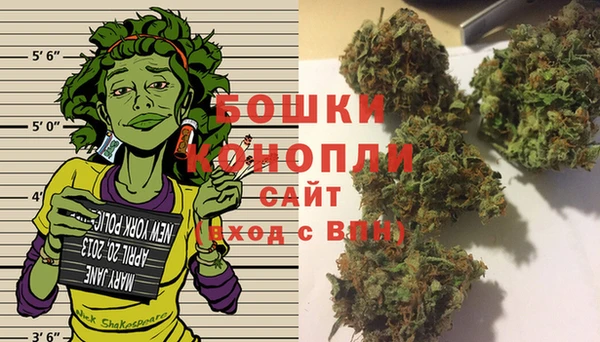 молекула духа Бронницы
