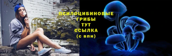 молекула духа Бронницы