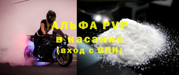 стафф Бородино