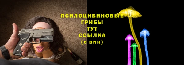 стафф Бородино