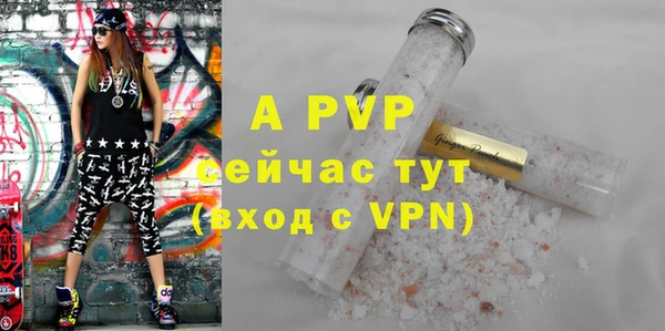 молекула духа Бронницы