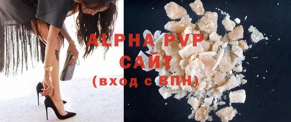 стафф Бородино