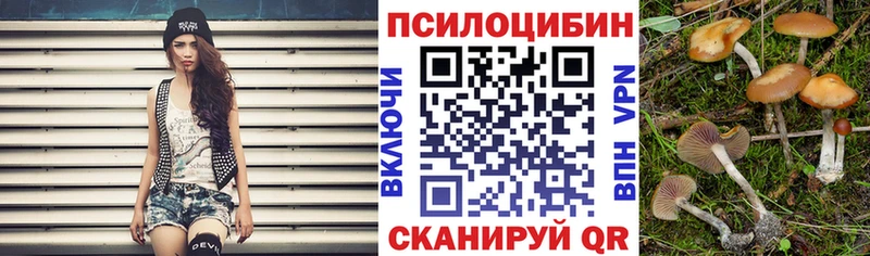 Псилоцибиновые грибы GOLDEN TEACHER  цены наркотик  Электроугли 